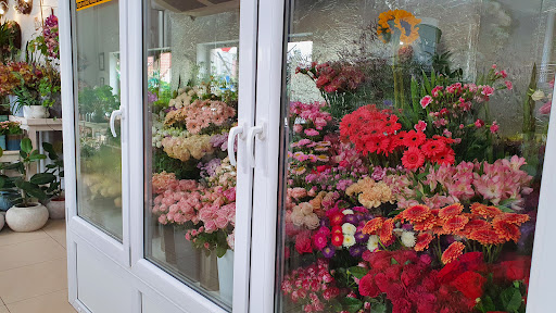 Kwiaciarnia Leśna w Suchy Las